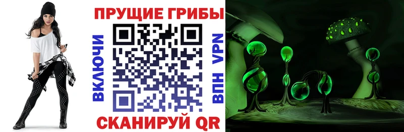 Псилоцибиновые грибы Psilocybe Спас-Деменск